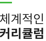 체계적인 커리큘럼